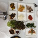 체험나들이코스 Daum카페