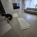 아기층간소음 시공매트 ‘플로리아’ 내돈내산 후기추천