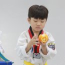 라이온태권도장 이미지