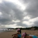 파라다이스 Daum카페