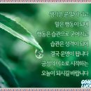 용재농원 | 오분명상,마음이 마음을 안다.안중근 의사 어머니~.태국 치앙라이.포토,조심! 당신의 목숨을~.고추와...