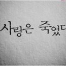 코꾸멍 이미지