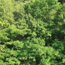 돋을볕펜션 이미지