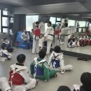 파워합기도 이미지