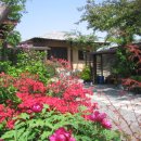 옛집황토방 이미지