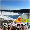 [양남 눈썰매장] 아기랑 가기 좋은 울산 근교 눈썰매장