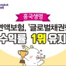 흥국생명보험 이미지