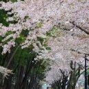 여명로25번길 이미지