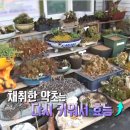 산야초오리백숙