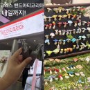 퀼트공예 | 코엑스 핸드아티코리아 2026 후기｜내일까지! 생각보다 볼거리가 정말 많았어요