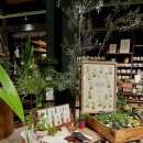 빌라쥬 드 아난티 코너모비딕 마켓 이미지