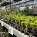 대림가든 이미지