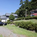 펜션 숲 이미지