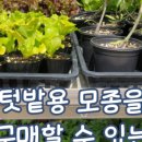 장유농약종묘사 이미지