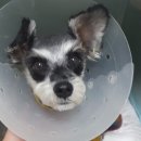 이박사동물병원 이미지