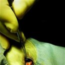 하늘동물병원 이미지