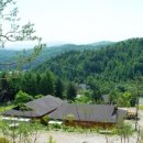 풀잎향기 이미지