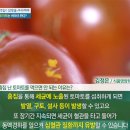 흠집 난 '토마토'가 '심혈관 질환'을 일으킨다!? 이미지