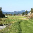 디나인84 이미지