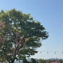 내마음바다죠 | 태안 커플여행 독채 오션뷰 펜션 추천 내마음바다죠