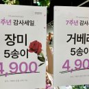 스노우폭스제주