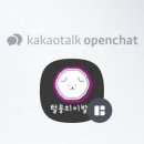 청 애견미용 이미지