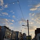 더 데일리 펫샵 이미지