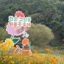 고인돌 조형물 | 2025 화순 고인돌 가을꽃축제 아가와 다녀온 후기(움직이는 공룡,화수니,의상 체험)