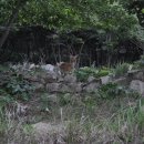 철탑민박 이미지