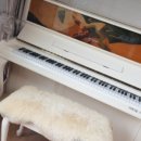 일동상회 이미지