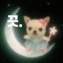 하대동228 | 걸스토크 현장(하대동 다쵸, 피베리브라더스)