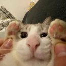 가방잡화