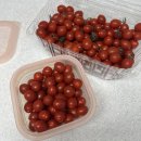 고령과일채소 | 뿌리깊은청년 고령 대추 방울토마토 4kg 후기, 산지직송 국내산 토마토 추천