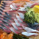 활신당 | 【신당동횟집】 부둣가실비, 활고등어회 생맥주 늦게까지 영업하는 신당술집