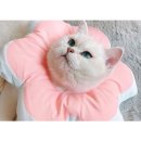 요요플라워 이미지