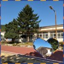 대가야호스텔 이미지