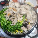 황금아구 | 여수 미평 맛집 전현무계획3 아귀 수육 편 보고 찾아간 여수 아귀 수육 맛집 '황금아구' 솔직 후기!