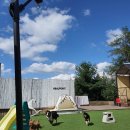 사나래글램핑장 이미지