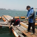 평촌낚시터 이미지