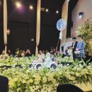 아짱아짱 이미지