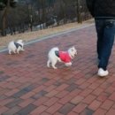 아름PC 네이버블로그