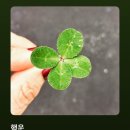 전산회계2급일반사무 | [자격증] 전산회계운용사 2급 실기 합격 후기! 5일 공부법