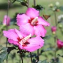 경천식물원 이미지