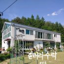 갤러리수락 이미지