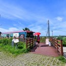 비비정예술열차 이미지