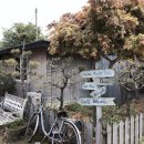 메종드라메르 이미지