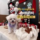 아띠라미 이미지