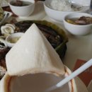 할로부코