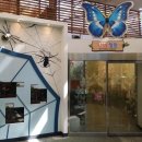 곤충생태관_2 이미지