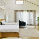 천년비자 이미지